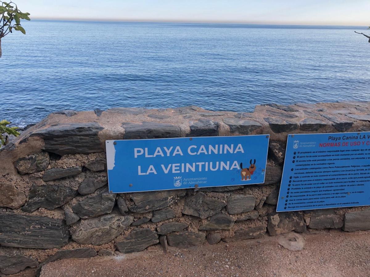 Estudio Luxury Primera Linea De Playa Almunecar Parking Gratuito エクステリア 写真